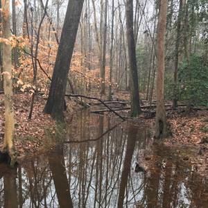 Meet your Posher, Jordi